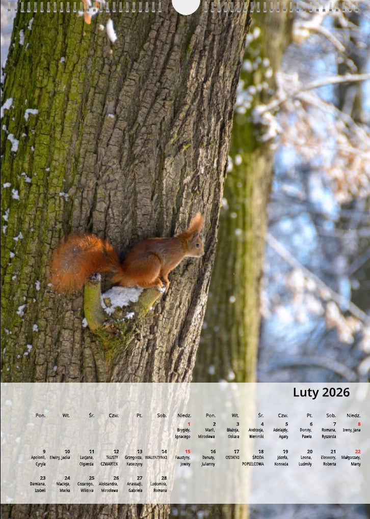 Kalendarz Mogilno w obiektywie 2026 układ pionowy